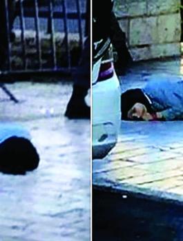 الشهيدة فاطمة حجيجي 