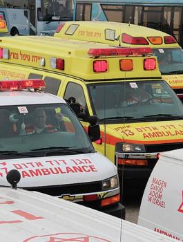 حمى غرب النيل في اسرائيل 