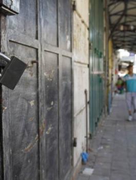 m3n4net-179579-1-jpg-8279364444405813