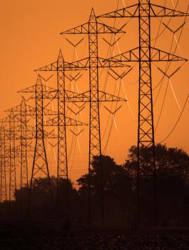 مشروع ربط شبكة الكهرباء بين الاردن وفلسطين 