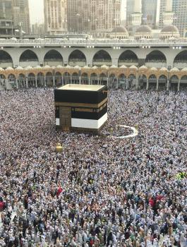 حجاج فلسطين 