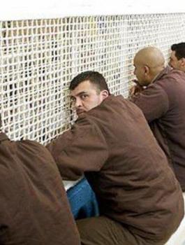 06123753082346433834671803080273