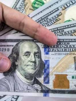 146-113044-dollar-price-egypt-pound-friday-9-augst-2019_700x400