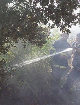 13510864_1114155321959430_5183346166217264156_n