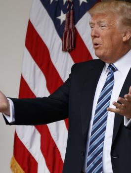 ترامب والقضية الفلسطينية 