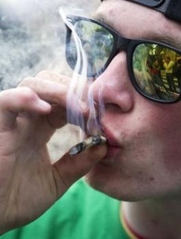 تدخين الماريغوانا في اسرائيل 