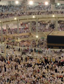 عدد الحجاج للعام 2017