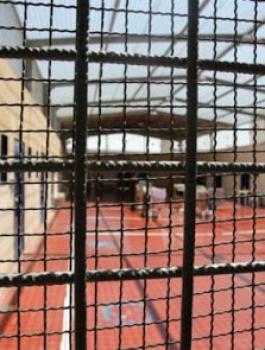 cf557984-44c9-4e9c-a247-64d507fc13fa