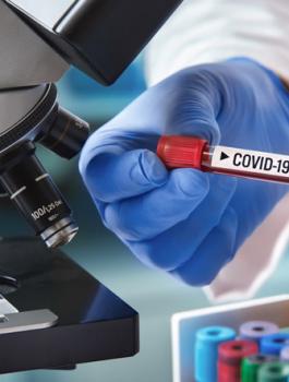 الخليل وفيروس كورونا 