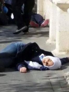 531667_369083456532596_87918291_n