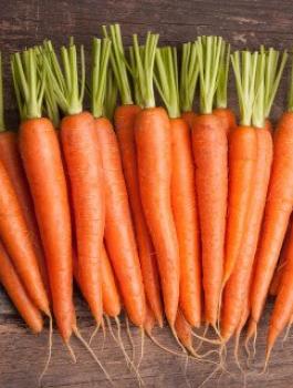 فوائد الجزر 