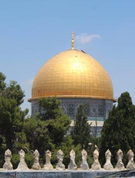 12473543_939636952817070_6857991154485217947_o