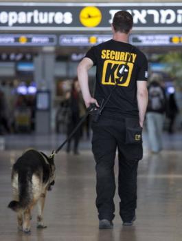 972407_1_0325-bengurion_standard