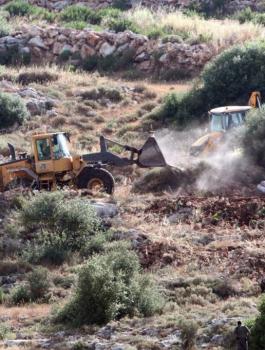 تجريف اراضي الفلسطينيين 