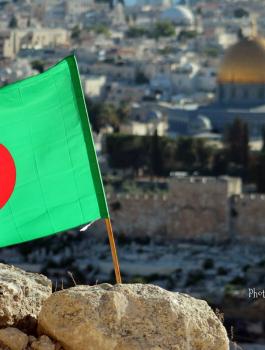 تظاهرات في الجزائر لأجل القدس 