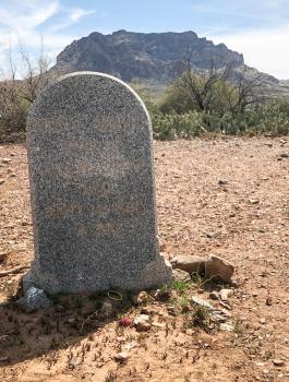 العودة من الموت 