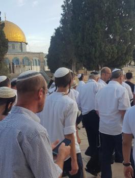 اقتحامات المستوطنين للمسجد الاقصى 