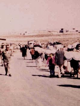 وعد بلفور 