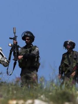 مصادرة حمار من مواطن فلسطيني 