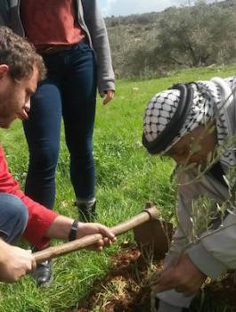 مساعدات من الاتحاد الاوروبي للمزارعين الفلسطينين 