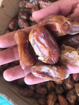 ضبط تمور فاسدة في جنين 