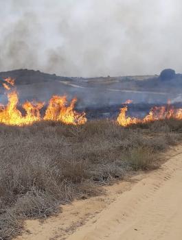 حرائق في مستوطنات غلاف غزة 