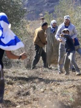 المستوطنين وقاطفي الزيتون 