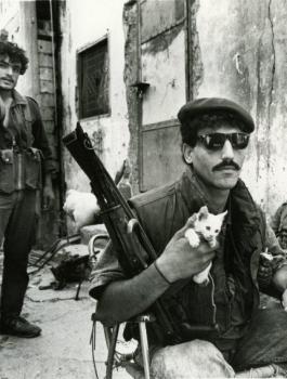 6a62be89cd463d31f34a3235790d06ca