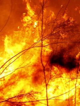 حرائق في مكة المكرمة 