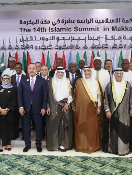 التعاون الاسلامي وفلسطين 