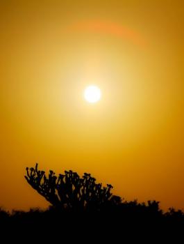 حالة الطقس في فلسطين 