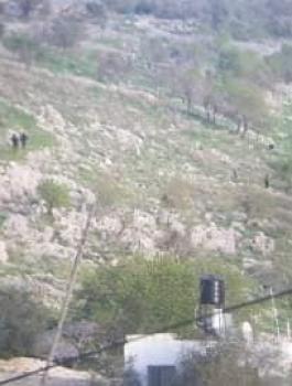 بورين والاستيطان 