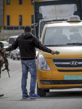 12662558_976459935780049_6697323945191260911_n