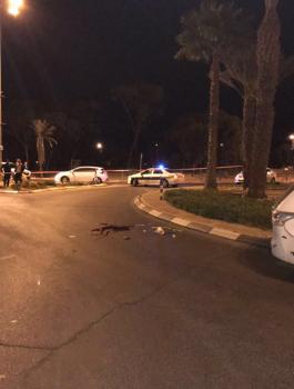 منفذ عملية قتل الجندي النقب كان يخطط لإتمام عملية تبادل أسرى 