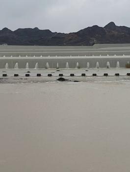 سدود الامارات 