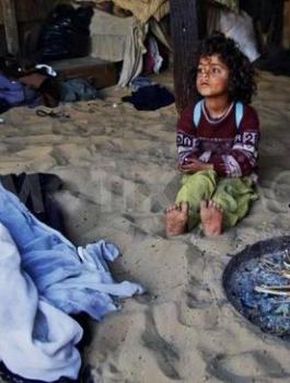 نسبة الفقر في فلسطين 