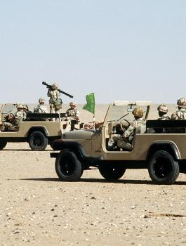 عمليات الجيش المصري في سيناء 