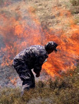 المستوطنون يحرقون اراضي الفلسطينيين 