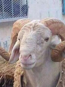 medium_2020-08-26-af0b2cc780