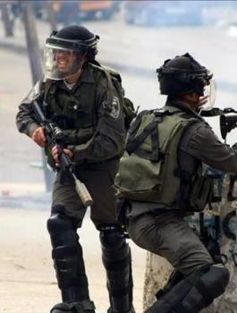 thumbs_b_c_aa72ee23c052015c3000f1cec4fc4ed7