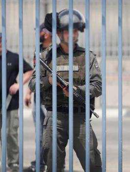 انجازات فلسطينة 