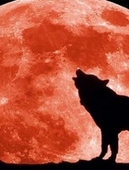 93708fae-43bb-451e-b6da-e9845c0b0481_16x9_600x338