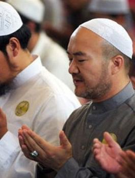 الهباش ومسلمي اليابان 