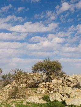 حالة الطقس رام الله