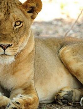 asabnews_2020-08-29_10-58-12_253409