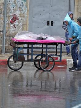 المنخفض الجوي في فلسطين 