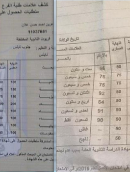 شهادة توجيهي