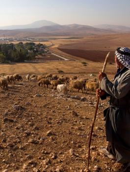 طرد فلسطينيين من الاغوار 