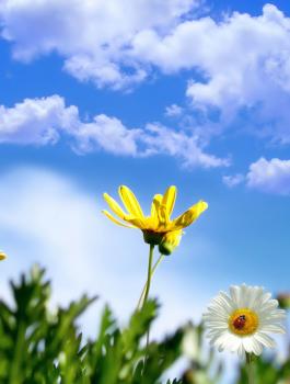 410cf8f1f15697e4c7053b7228559d7b