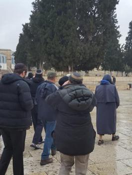 المستوطنين يقتحمون الاقصى 